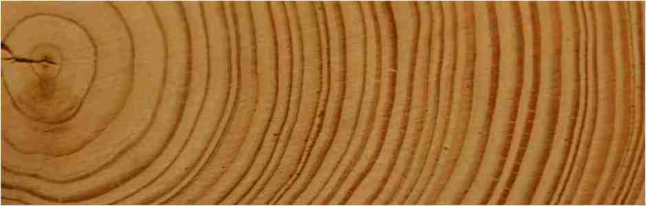 Die anwenderfreundliche Software für die Holzbranche